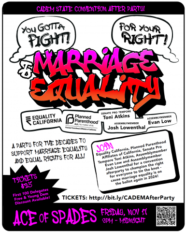 Marriage Equality Party Flyer